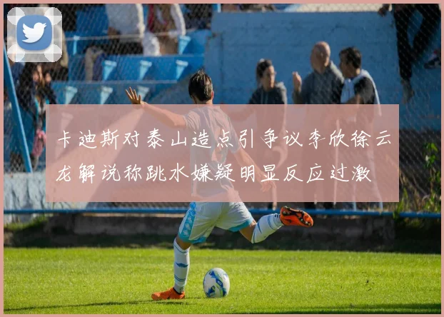 卡迪斯对泰山造点引争议李欣徐云龙解说称跳水嫌疑明显反应过激