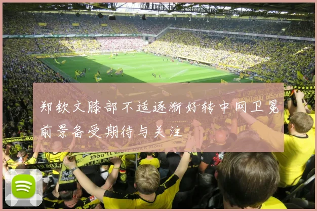 郑钦文膝部不适逐渐好转中网卫冕前景备受期待与关注
