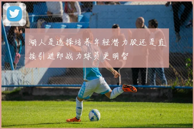 湖人是选择培养年轻潜力股还是直接引进即战力球员更明智